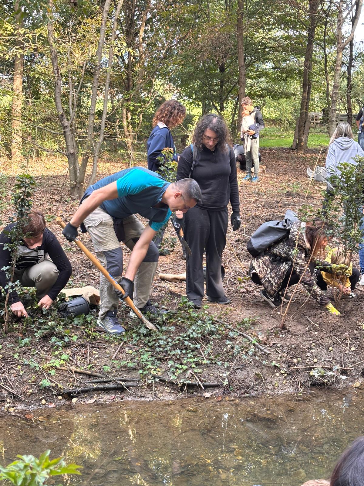 Tree planting beside a stream